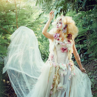 Fairy Tale Theme Pictorial Sample