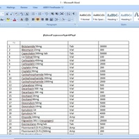 PDF to Word Conversion