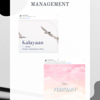 Portfolio Thumbnail 2