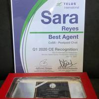 Best in Customer Service Role