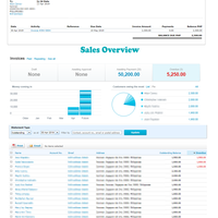 Data Entry with Xero Application