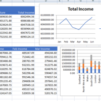 Spreadsheet with charts and tables