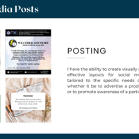 Social Media Posting