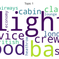 Topic Analysis