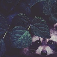 Portfolio Thumbnail 3