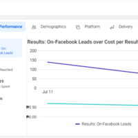 Facebook Ads: Lead Generation Accomplishment