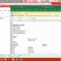 Data Entry from PDF to Excel