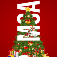 Portfolio Thumbnail 10