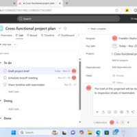 Project Management using Asana