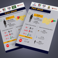 Infographic Flyer II
