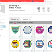 My badges from trainings