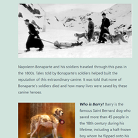 Content Creation: Managing Wordpress page 5