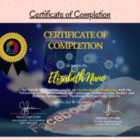 FB Ads Marketing Certificate