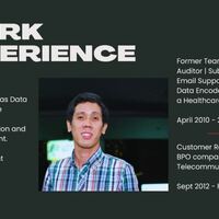 Working Experience