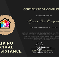 Filipino Virtual Assistance Coaching and Training
