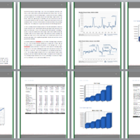 Sample Financial Plan Extract