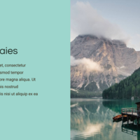 Website Banner
