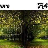 Portfolio Thumbnail 2
