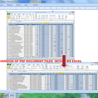 Conversion of PDF document File to MS Excel