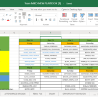 Team Lead's Game Plan 