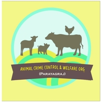 Portfolio Thumbnail 2