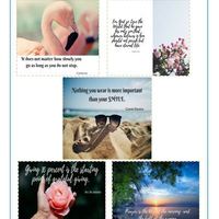 I lay out using Canva 