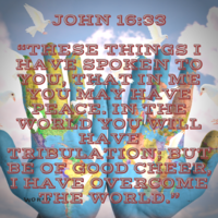 Portfolio Thumbnail 19