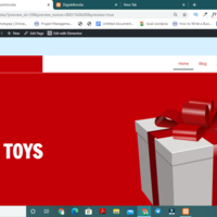 thegiftpalace.in