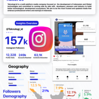 instagram insight infographic