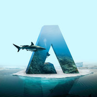 Portfolio Thumbnail 14