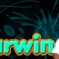 Portfolio Thumbnail 2