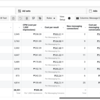 My Facebook Ad Campaigns 1 Sample