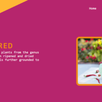 Red Chillies Landing Page