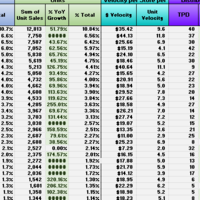 Created and excel draft for daily sales report.