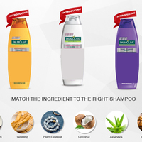 Portfolio Thumbnail 5