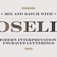 Rosella Typeface