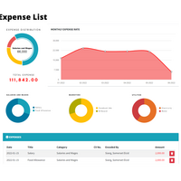 Data Visualization for Expense