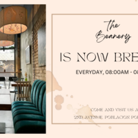  Canva Design