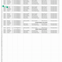 Data Entry Sample (Standard Tour Planner)
