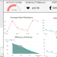 Fit Bit Health Analysis - PowerBI