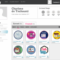 Earned Credley Badges