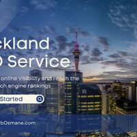 Auckland SEO Service Content