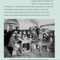 Content Creation: Managing Wordpress page 7