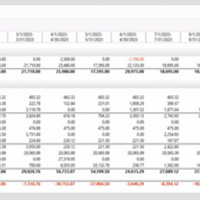 Income and Expense Analysis