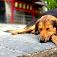 Portfolio Thumbnail 14