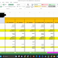 Consolidat Financial Report 1