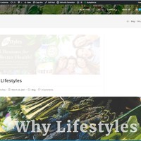 Creating Blog using WordPress