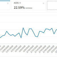 PPC Campaigns Management