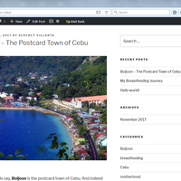 WordPress Management