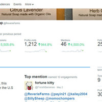 Twitter Stats for a Client Just Starting out